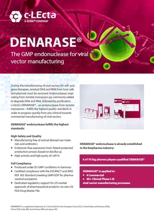 Flyer_DENARASE-23
