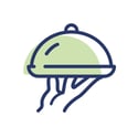 c-LEcta_ICON_food_enzymes