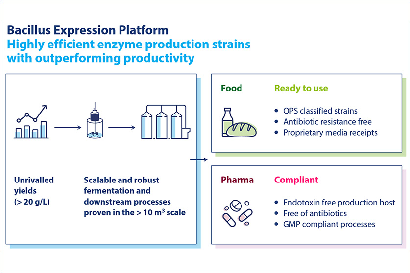 Successful development of a screening method in Bacillus