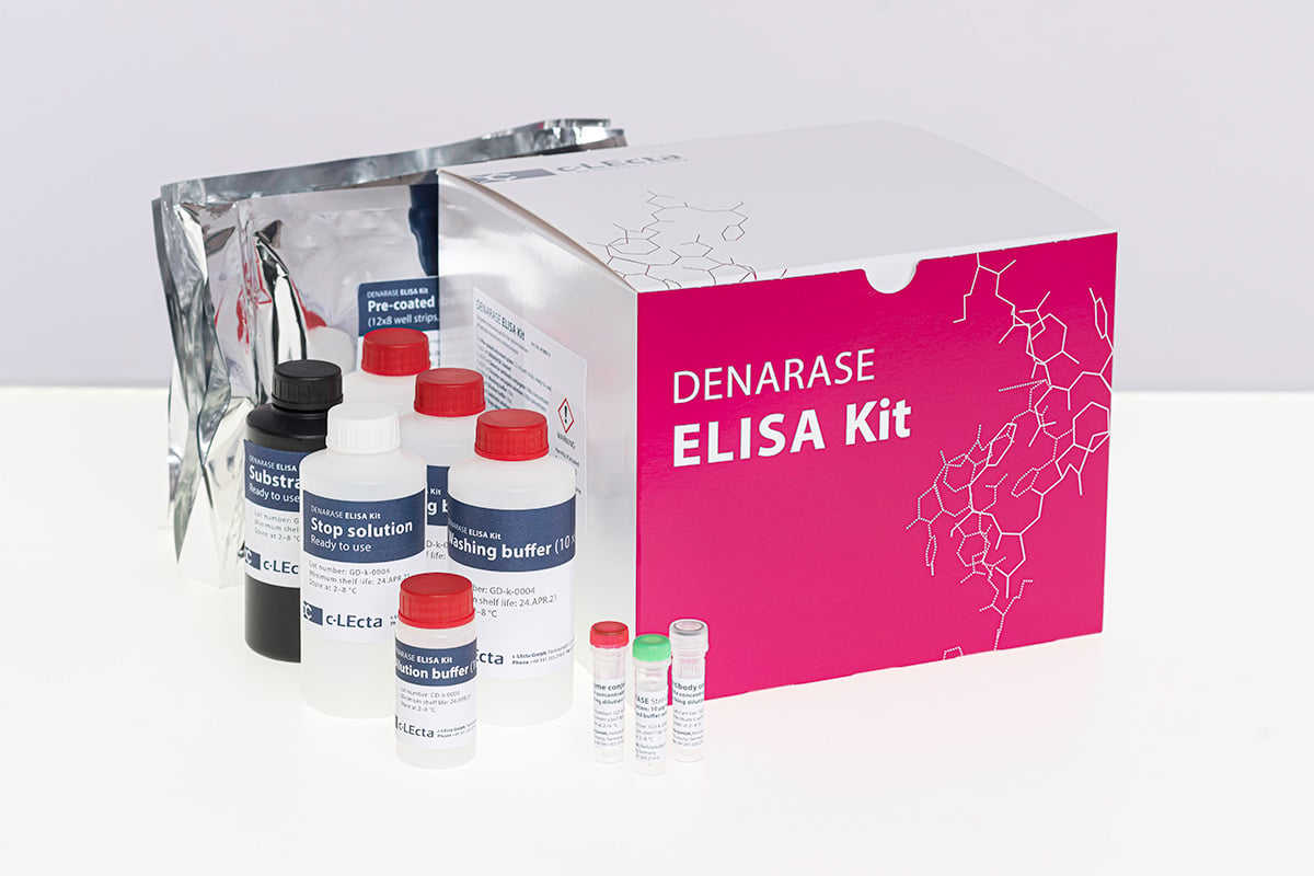 Markteinführung des DENARASE ELISA-Kits